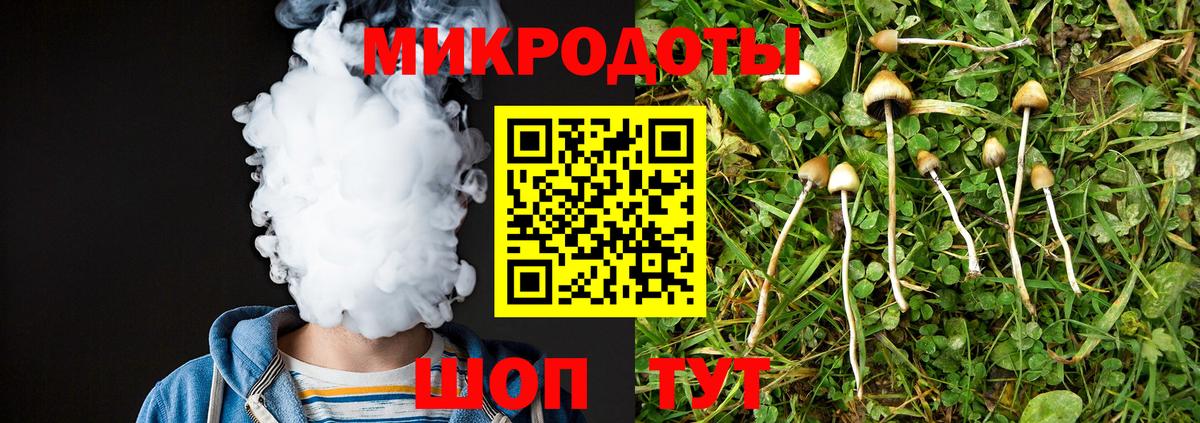 Псилоцибиновые грибы GOLDEN TEACHER  Галлюциногенные грибы Magic Shrooms  Куйбышев  Вход с VPN 
